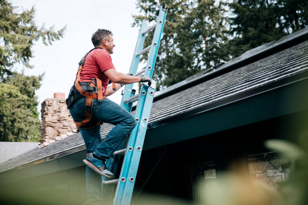 Best Asphalt Shingle Roofing  in Waretown, NJ